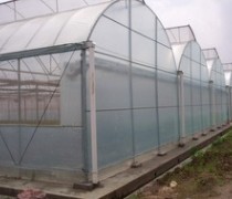 生物降解薄膜新突破 Ecovio F Mulch薄膜实现三个月完全分解